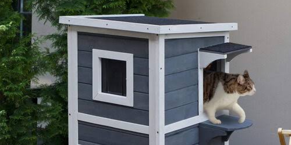 How to make a big house for cats?